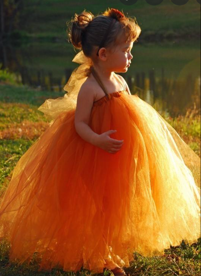 A-line Long Sleeves Light Burnt Orange Modest Prom Dresses PD018 – bridalsew