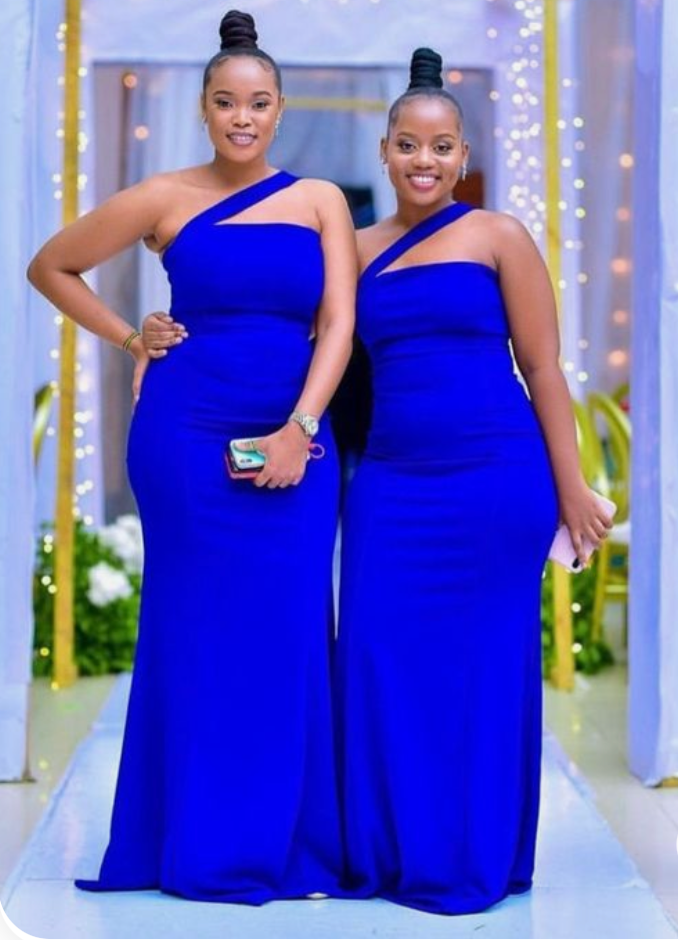 Plus Size Blue Bridesmaid Dresses for Wedding Party